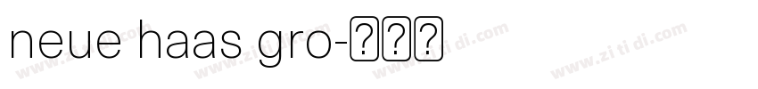neue haas gro字体转换